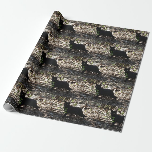 Black Cat Photo Wrapping Paper (Unrolled)