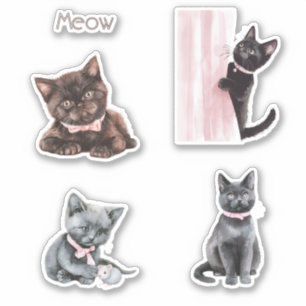 Black Cat Pink Bow