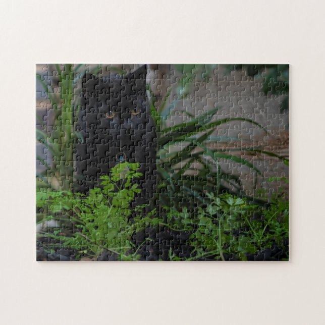 Black Cat Playing in the garden, 252 pieces Jigsaw Puzzle (Horizontal)
