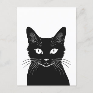 Black cat postcard