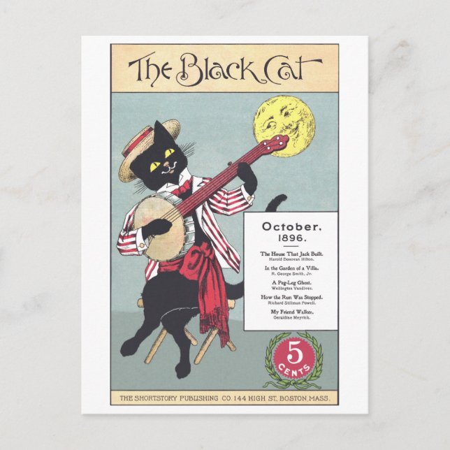 Black Cat Postcard (Front)
