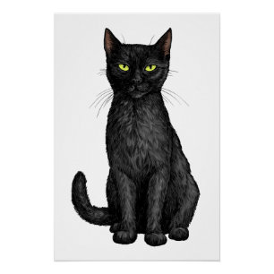 Black cat poster