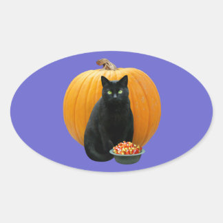 Black Cat Pumpkin Oval Sticker