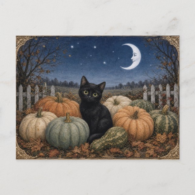 Black Cat Pumpkin Patch Vintage Postcard (Front)