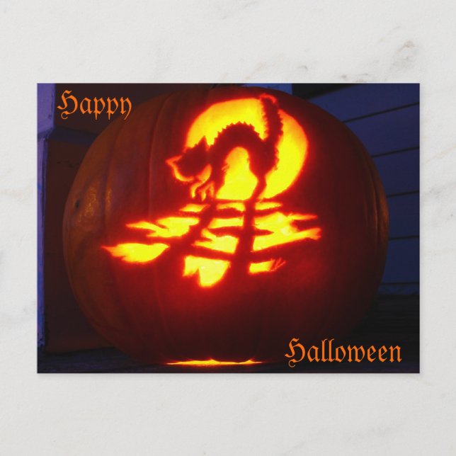 black cat pumpkin postcard (Front)