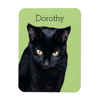 Black Cat Real Photo Kitchen Fridge Magnet