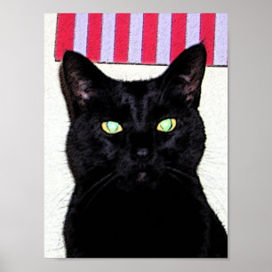 Black Cat / Red White Blue Poster
