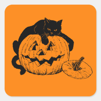 Black Cat Resting On Top of a Carved Pumpkin Square Sticker