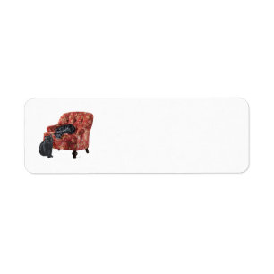 Black Cat Return Address Labels