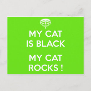 Black cat rocks postcard