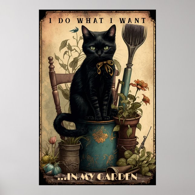 Black Cat sitting in the garden  Poster (Front)
