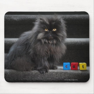 Black cat sitting on stairs by building blocks. mouse pad