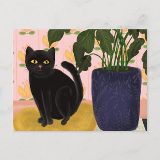 Black Cat Sitting Pretty in Pink Postcard