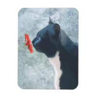 Black Cat Sniffing Flower