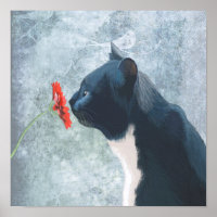 Black Cat Sniffing Flower