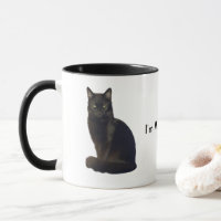 Black Cat Staring Eyes | I'm Watching You White