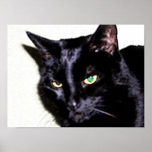Black Cat Sumio Poster