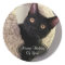 Black Cat Thinking Of You Stickers