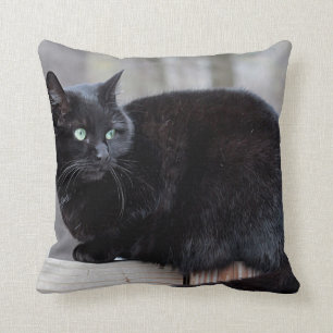 Black cat throw pillow