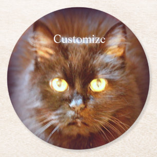 Black Cat Thunder_Cove Round Paper Coaster