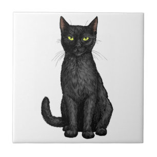 Black cat tile