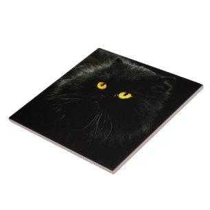 Black Cat Tile