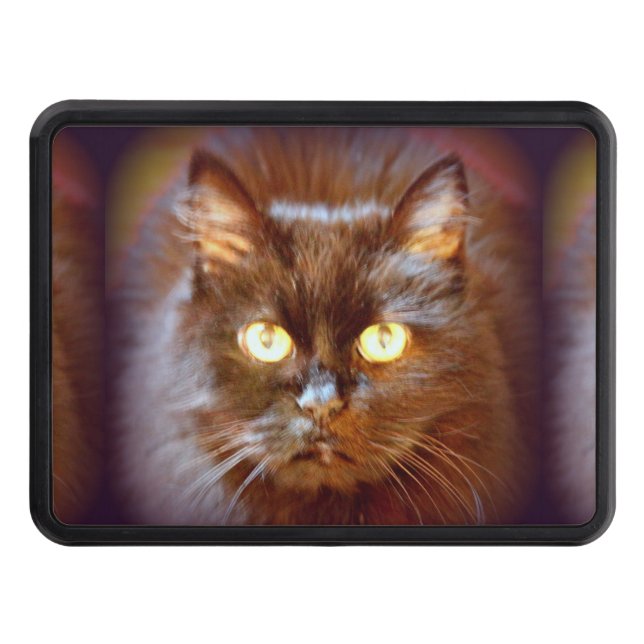 black cat trailer hitch cover (Front)