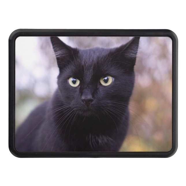black cat trailer hitch cover (Front)
