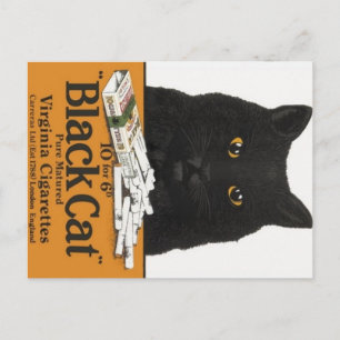 Black Cat Virginia Cigarettes Advert Carte Postale