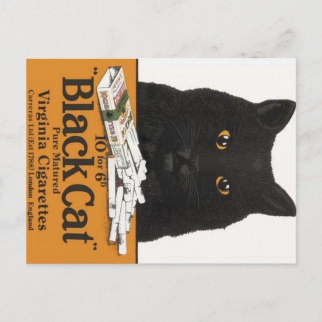 Black Cat Virginia Cigarettes Advert Carte Postale (Devant)