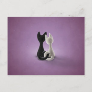 Black Cat White Cat (Colour 4) Postcard