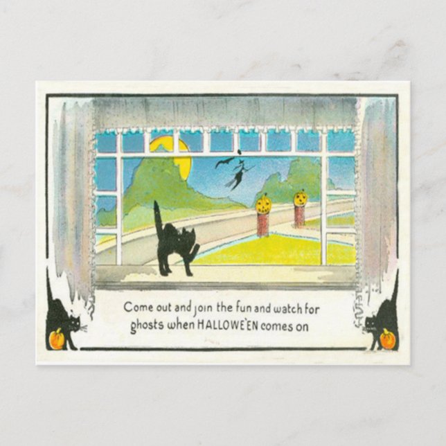 Black Cat Witch Window Jack O Lantern Pumpkin Moon Postcard (Front)