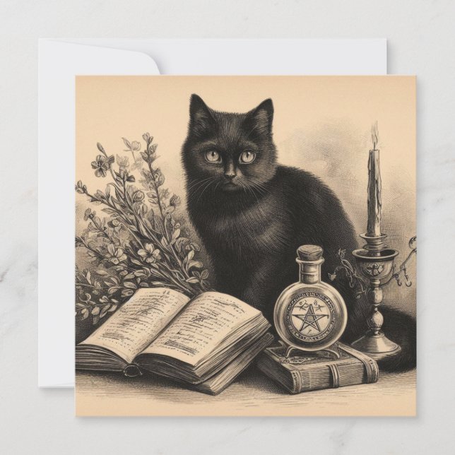 Black Cat with Books Vintage Illustration Card (Front)