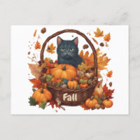 Black Cat with Fall Harvest Basket 