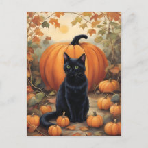 Black Cat with Halloween Pumpkin