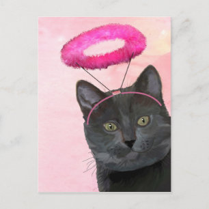 Black Cat With Pink Angel Halo Postcard