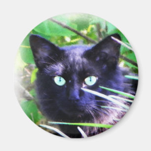 Black cat with striking green eyes magnet