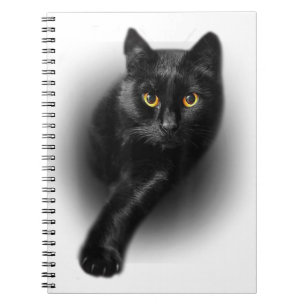 Black Cat Yellow Eyes Cats Notebook