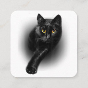 Black Cat Yellow Eyes T-Shirt Cats Tee Square Business Card
