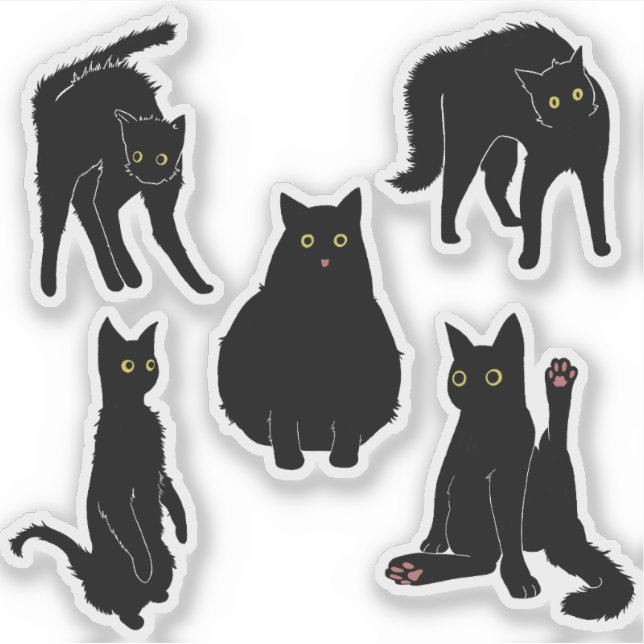 Black Cats  (Front)