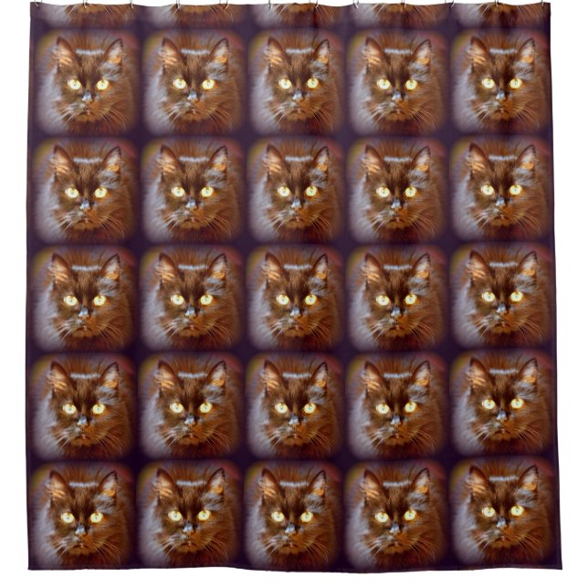 black cats (Front)