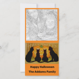 Black Cats and Pumpkin Vintage Halloween Holiday Card