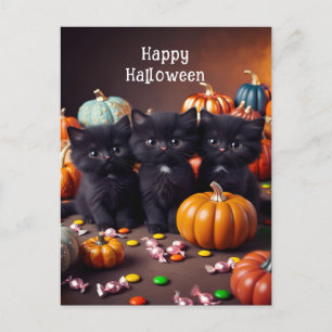 Black Cats and Pumpkins Halloween Night Scene Postcard