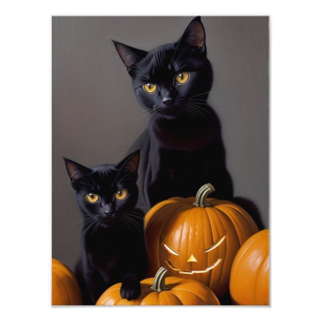 Black Cats and Pumpkins Photo Print (Front)