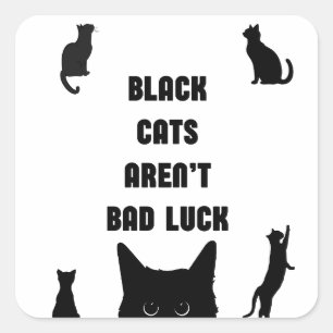 Black Cats Aren't Bad Luck Square Sticker