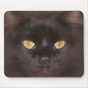 black cats eyes mouse pad