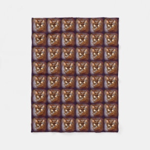 black cats fleece blanket