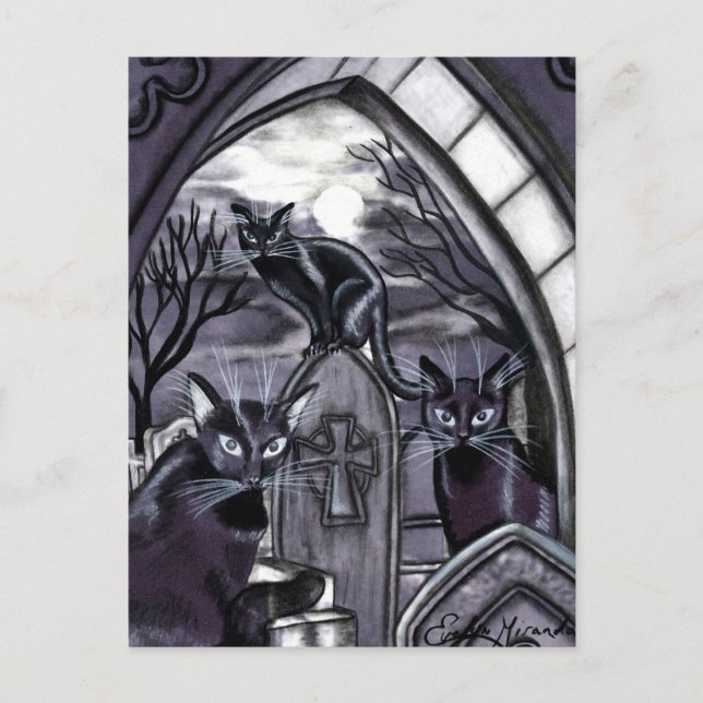 Black Cats Full Moon Graveyard Postcard (Front)