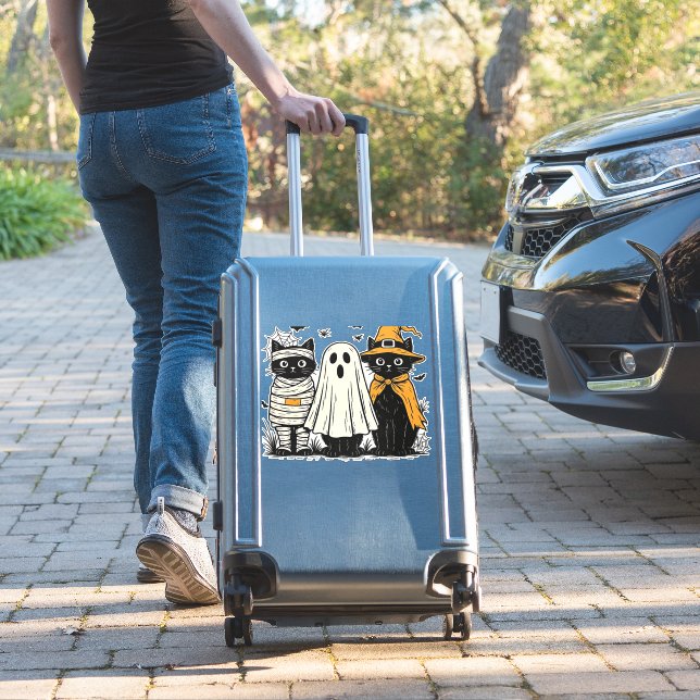 Black Cats in Halloween Costumes – Ghost, Witch, a (Suitcase Insitu)