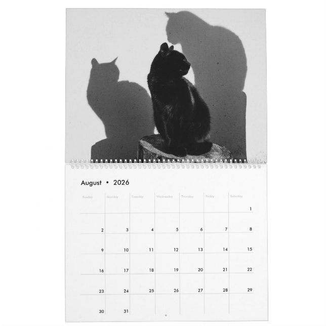 Black Cats & Kittens Cute Kitty Cat 2021 Calendar (Aug 2026)